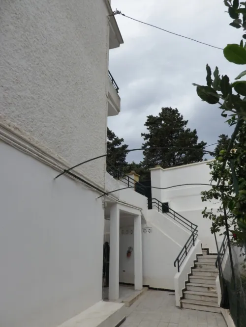 Vente Terrain Alger Bouzareah