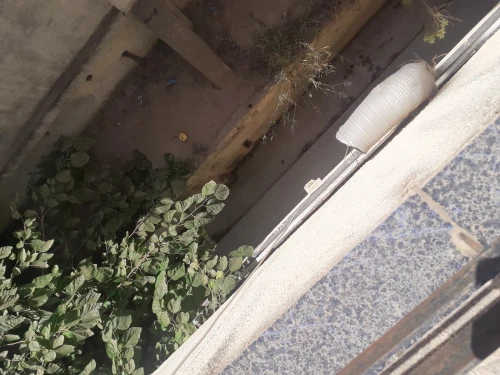 Vente Villa Alger Bouzareah