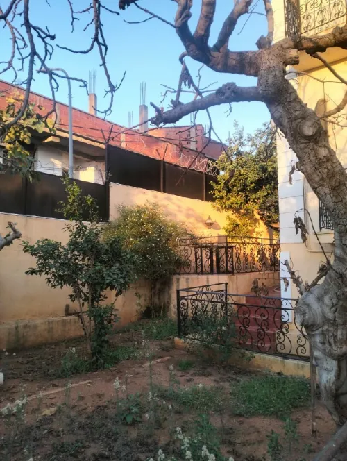 Vente Terrain Alger El madania