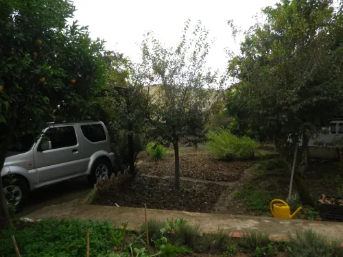 Vente Terrain Alger Bouzareah