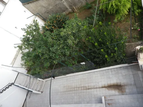 Vente Terrain Alger Bouzareah