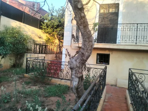Vente Terrain Alger El madania