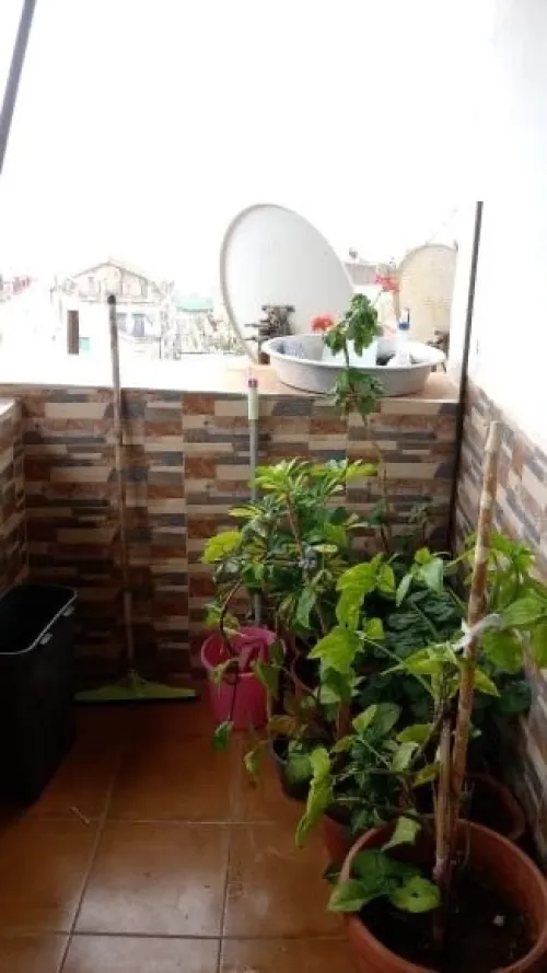 Vente Appartement F3 Alger Alger centre
