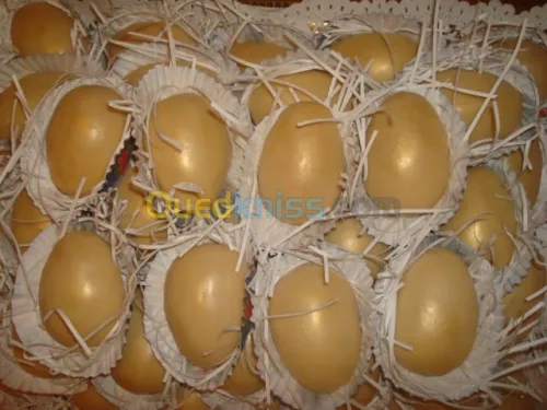 Traiteurs et Gateaux