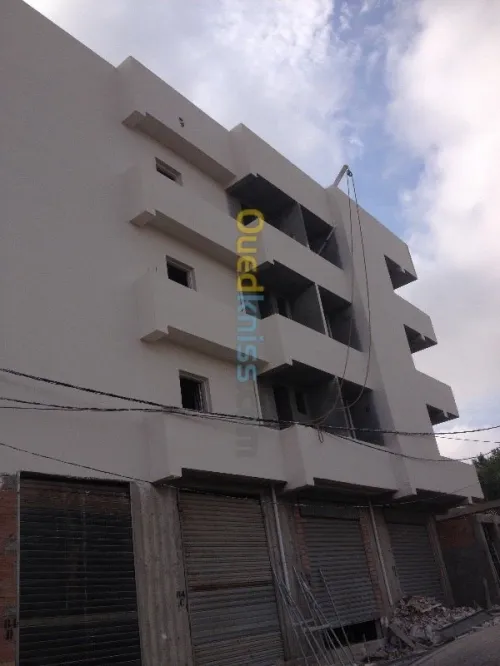 Rénovations de façade ...