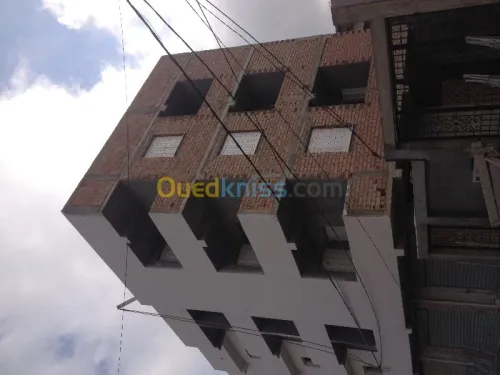 Rénovations de façade ...