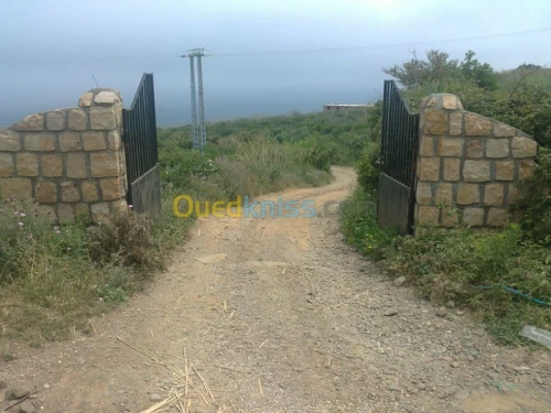 Location Bungalow Bejaia Tamridjet