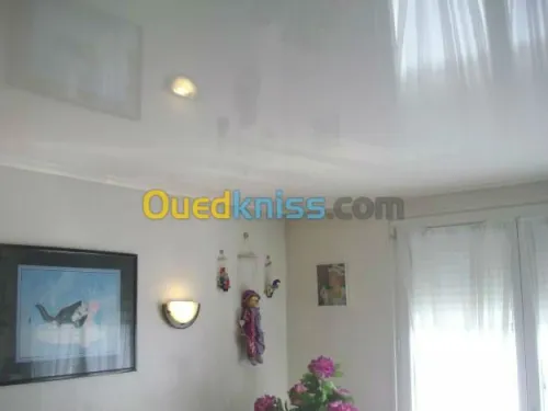 menuiserie aluminium , plafond en pvc