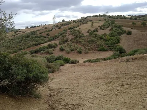Echange Terrain Boumerdes Khemis el khechna