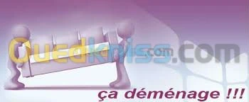 TRANSPORTE MARCHANDISE ET DEMENAGEMENT