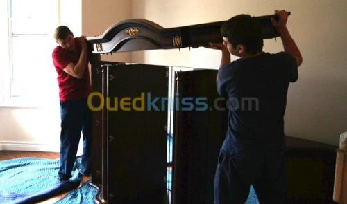 TRANSPORTE MARCHANDISE ET DEMENAGEMENT