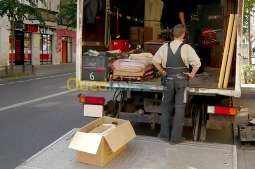 TRANSPORTE MARCHANDISE ET DEMENAGEMENT