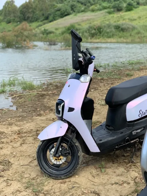 Estate Vms 2021