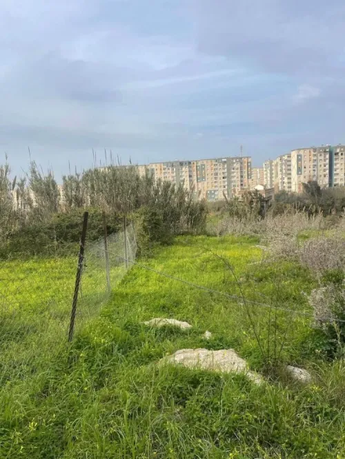 Vente Terrain Alger Ouled fayet