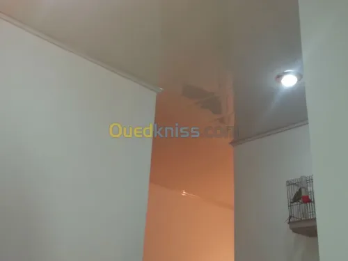 Déménagement, et installation faux pla