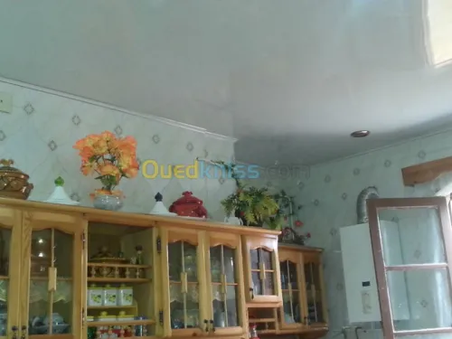 Déménagement, et installation faux pla