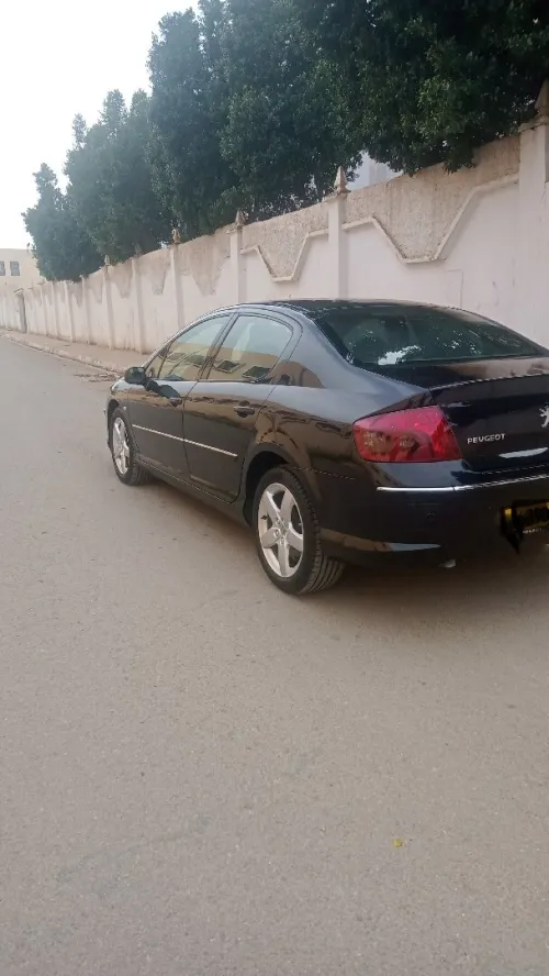 Peugeot 407 2007 407