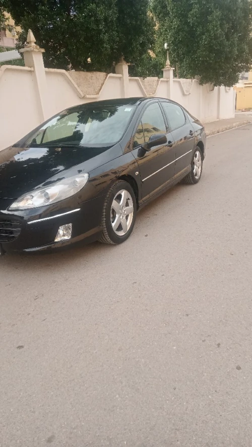 Peugeot 407 2007 407