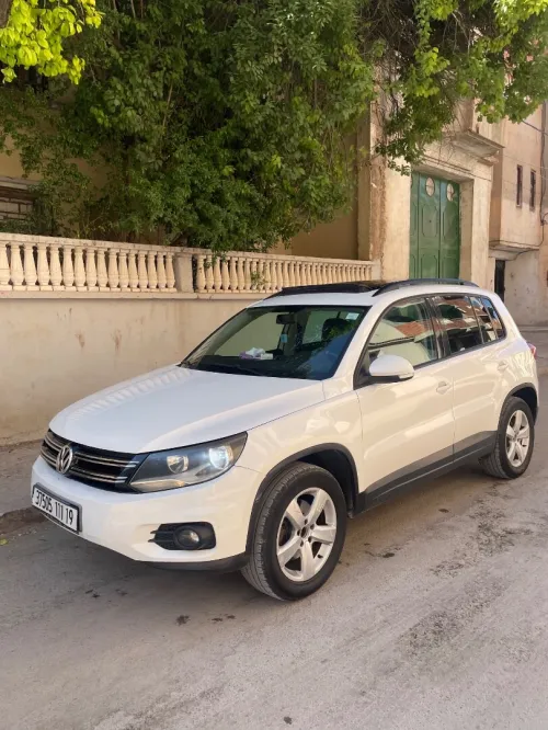 Volkswagen Tiguan 2011 Style