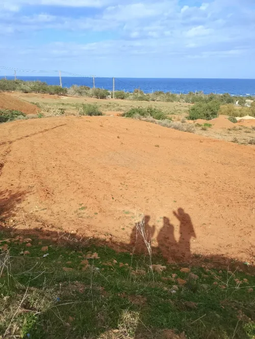 Vente Terrain Mostaganem Achaacha