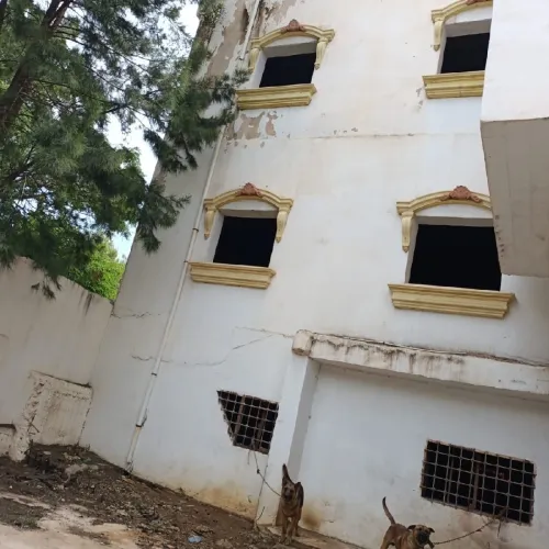Vente Immeuble Alger Bordj el kiffan