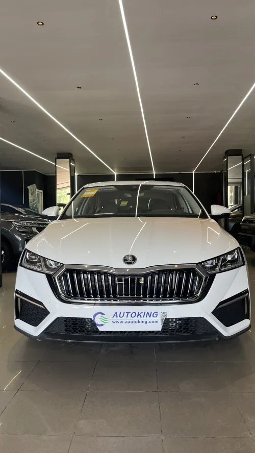 Skoda Octavia 2025 Pro