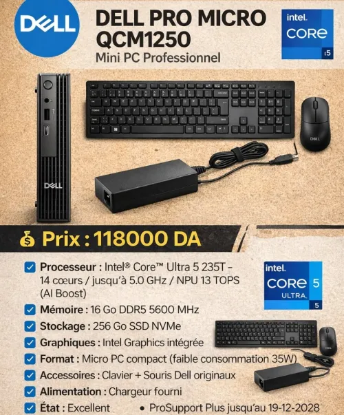 DELL PRO MICRO QCM1250 / Mini PC Professionnel