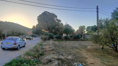 Vente Terrain Agricole Tlemcen Ain fezza