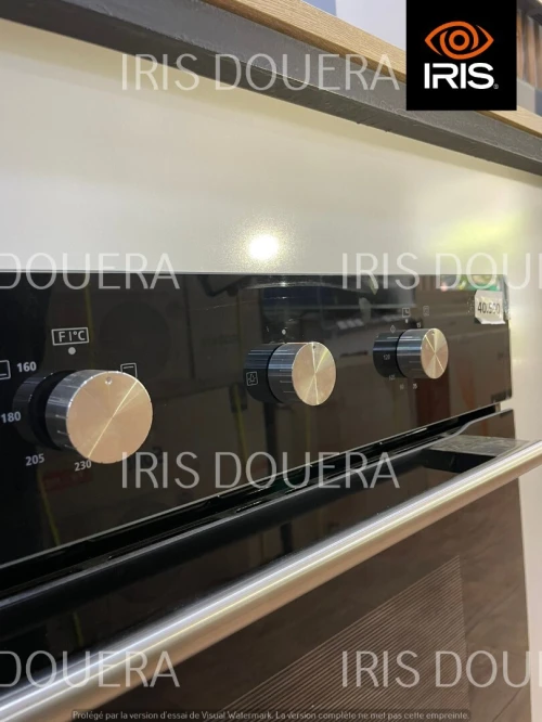 FOUR IRIS ENCASTRABLE GAZ-ELECTRIQUE MIXTE