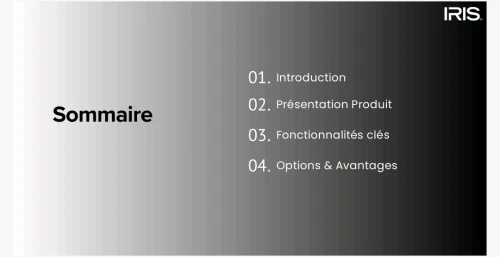 RÉFRIGÉRATEUR IRIS IR-DN420 NO-FROST 
