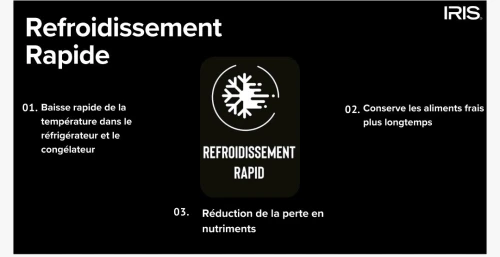 RÉFRIGÉRATEUR IRIS IR-DN420 NO-FROST 