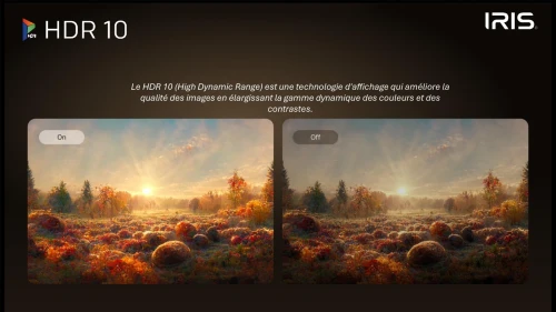 TV IRIS 65 M8020 MINILED ANDROID 14 GOOGLE TV 65POUCES UHD 4K 120Hz MATTE