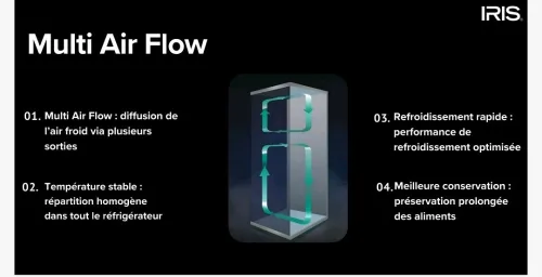 RÉFRIGÉRATEUR IRIS IR-DN420 NO-FROST 