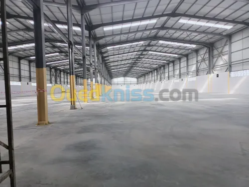 Location Hangar Blida Meftah