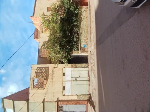 Vente Terrain Tlemcen Maghnia