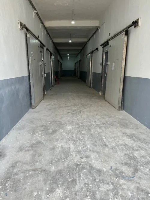 LOCATION CHAMBRE FROIDE POSITIVE NEGATIVE ET SEC ORAN SENIA