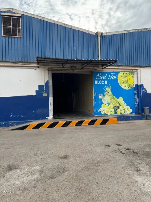 LOCATION CHAMBRE FROIDE POSITIVE NEGATIVE ET SEC ORAN SENIA