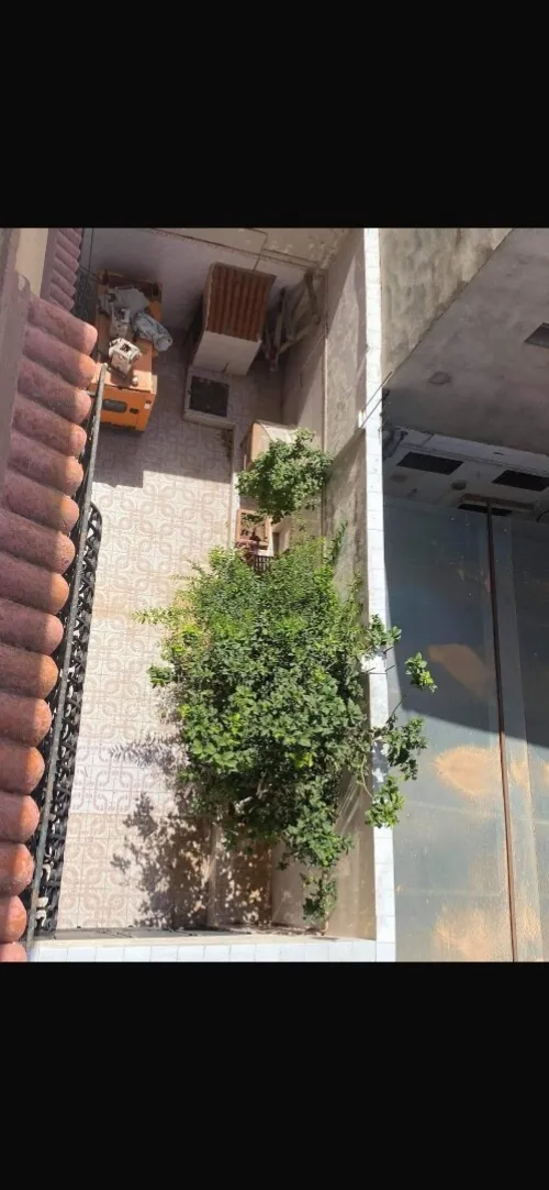 Vente Villa Oran Bir el djir