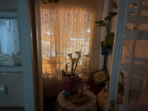 Vente Appartement F3 Alger Bab ezzouar