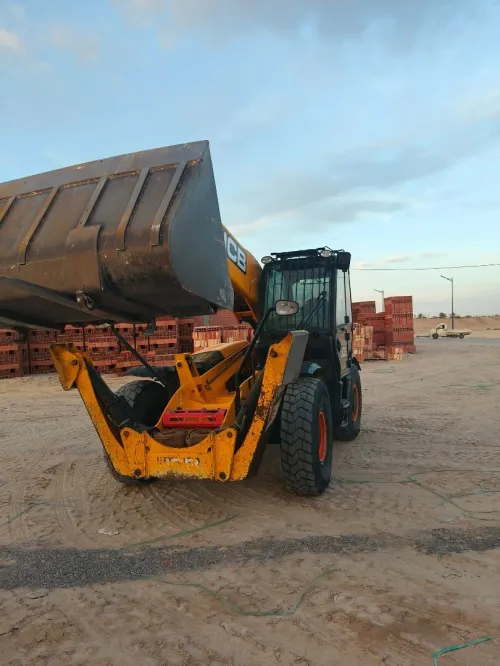Jcb 2017 2017