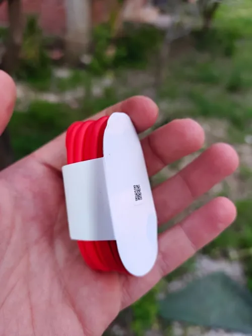 CHARGEUR 100W