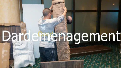  DEMENAGEMENT /TRANSPORT /MANUTENTIONS