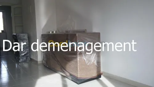  DEMENAGEMENT /TRANSPORT /MANUTENTIONS