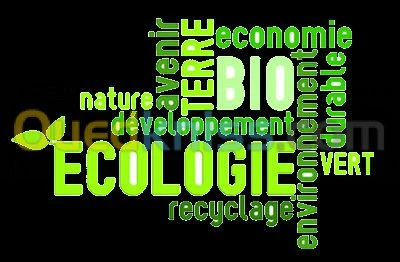 Société de Nettoyage NetGreenDZ