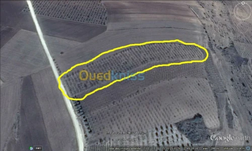 Vente Terrain Tlemcen Nedroma
