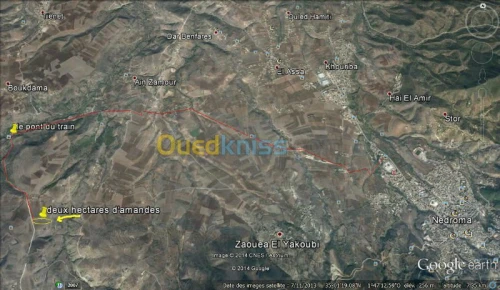 Vente Terrain Tlemcen Nedroma