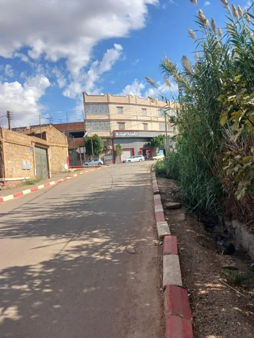Vente Terrain Chlef Ouled abbes