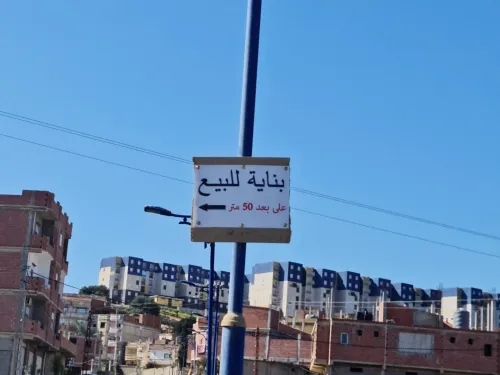 Vente Carcasse Skikda Collo