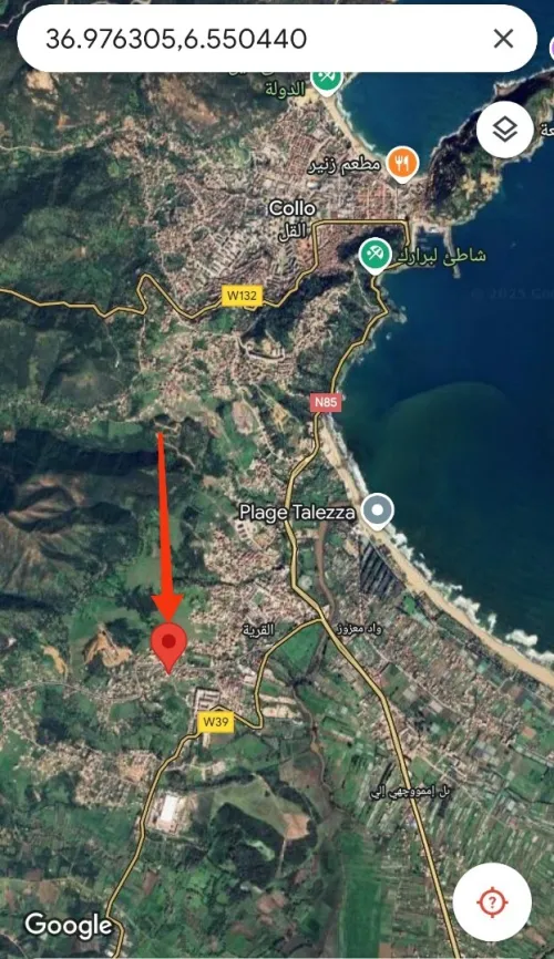 Vente Carcasse Skikda Collo