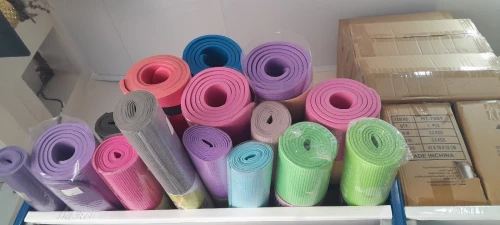 Tapis de Gym